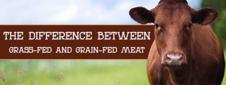 Difference between Grass Fed Beef and Grain Fed Beef